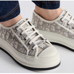 Кроссовки Dior Walk'n Platform Stone Gray