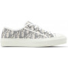 Кроссовки Dior Embroidered Canvas Low Grey
