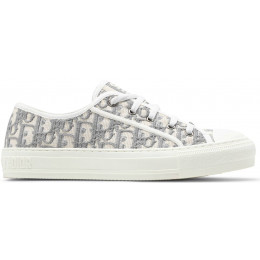 Кроссовки Dior Embroidered Canvas Low Grey