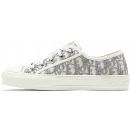 Кроссовки Dior Embroidered Canvas Low Grey