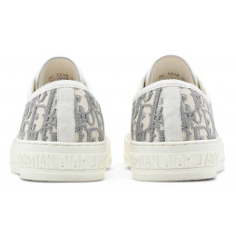 Кроссовки Dior Embroidered Canvas Low Grey