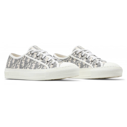 Кроссовки Dior Embroidered Canvas Low Grey