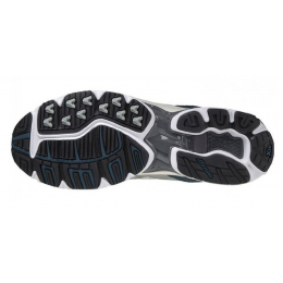 Mizuno Wave Rider 10 Grey