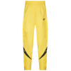 Брюки Reebok Sport Yellow