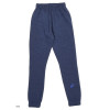 Брюки Спортивные Asics Big Logo Sweat Pant Blue