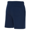 Шорты New Balance Small Logo Blue