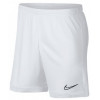 Шорты Nike Dry Academy White
