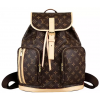 Рюкзак Louis Vuitton Bosphore Brown