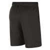 Шорты Nike Dry Fit Cotton Black