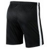 Шорты Nike Breathe Academy 19 Short Black