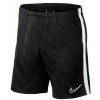 Шорты Nike Breathe Academy 19 Short Black