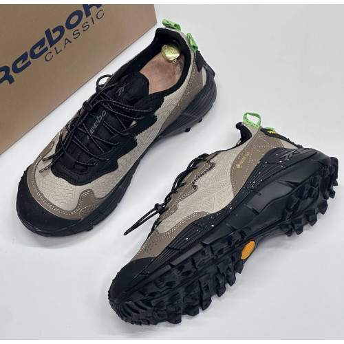 Кроссовки Reebok Zig Kinetica 2 Edge GTX Beige Sepia зимние