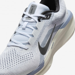 Nike Air Winflo 11 White Metallic Silver