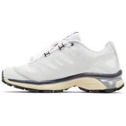 Кроссовки Salomon XT-4 Lunar Rock