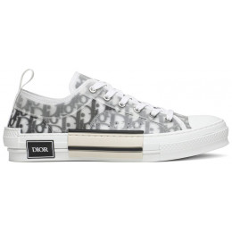 Dior B23 Low Oblique