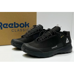 Кроссовки Reebok Gore-Tex Termo Black White
