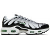 Кроссовки Nike Air Max Plus White Reflect Silver Fresh Mint