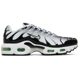 Кроссовки Nike Air Max Plus White Reflect Silver Fresh Mint