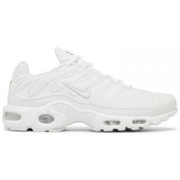 Кроссовки Nike Air Max Plus White All