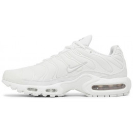 Кроссовки Nike Air Max Plus White All