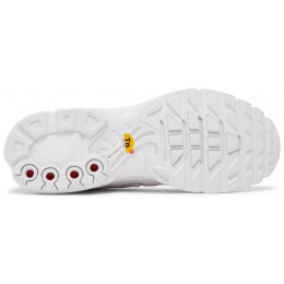 Кроссовки Nike Air Max Plus White All