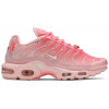 Кроссовки Nike Air Max Plus Pink City Special Atlanta