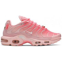 Кроссовки Nike Air Max Plus Pink City Special Atlanta