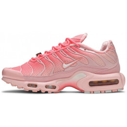Кроссовки Nike Air Max Plus Pink City Special Atlanta