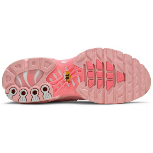 Кроссовки Nike Air Max Plus Pink City Special Atlanta