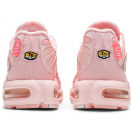 Кроссовки Nike Air Max Plus Pink City Special Atlanta