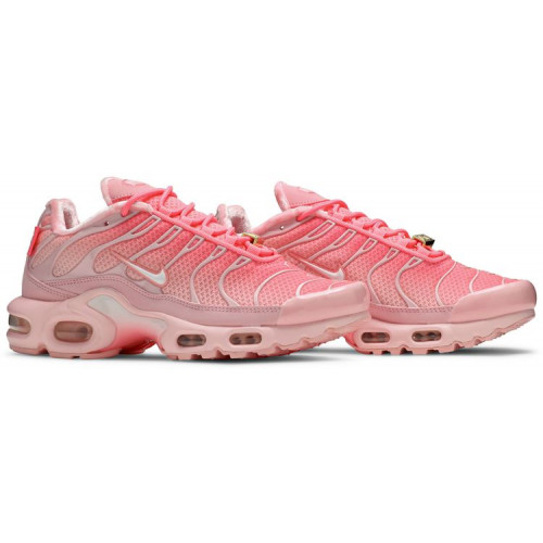 Кроссовки Nike Air Max Plus Pink City Special Atlanta
