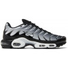 Кроссовки Nike Air Max Plus Black Metallic Silver