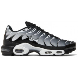 Кроссовки Nike Air Max Plus Black Metallic Silver