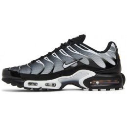 Кроссовки Nike Air Max Plus Black Metallic Silver