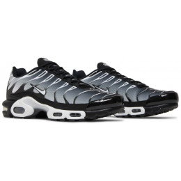 Кроссовки Nike Air Max Plus Black Metallic Silver