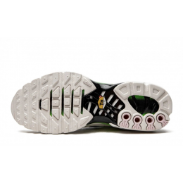 Nike Air Max TN Plus White Neon Metallic Silver