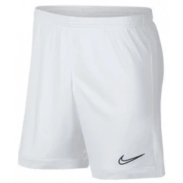 Шорты Nike Dry Academy White