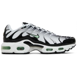 Кроссовки Nike Air Max Plus White Reflect Silver Fresh Mint