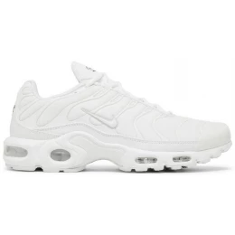Кроссовки Nike Air Max Plus White All