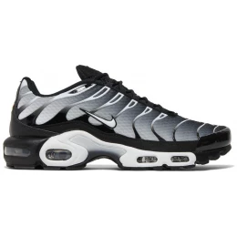 Кроссовки Nike Air Max Plus Black Metallic Silver