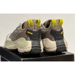 Reebok Zig Kinetica 2 Edge Gore Tex Brown Grey зимние