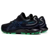Кроссовки Asics Gel Cumulus 24 Gore Tex Black Blue Coast