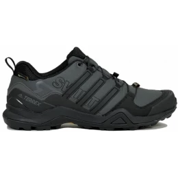 Кроссовки Adidas Terrex Swift R2 GTX Grey