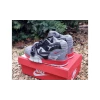 Кроссовки Nike Air Trainer 1 SP Utility Grey Red